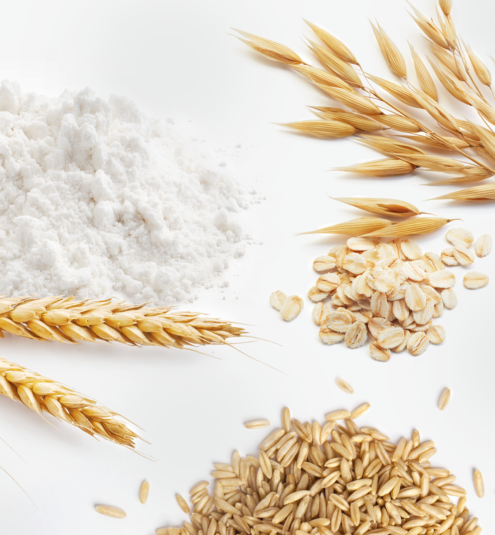 Basiszutaten für jede Küche Getreideprodukte & Saaten